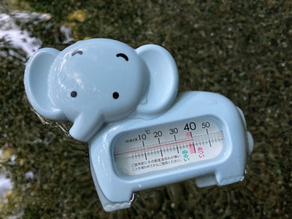 f:id:family026:20250514084911j:image